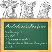 Bild: Fachtagung Antibiotikaminimierung in Nutztierhaltungen