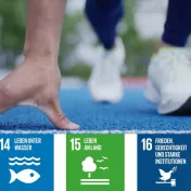 Sport SDGs