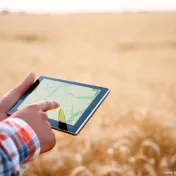 Landwirt*in auf einem Kornfeld mit einem Tablet in der Hand