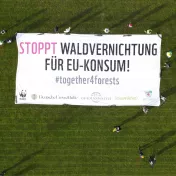 "STOPPT WALDVERNICHTUNG FÜR EU-KONSUM!"